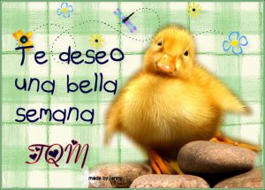 Imagenes De Feliz Inicio De Fin De Semana