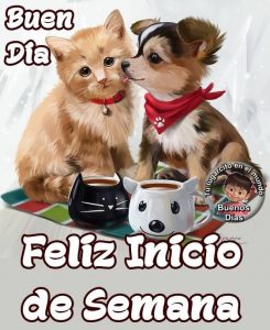 Imagenes De Feliz Inicio De Semana Amigos