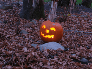 Imagenes De Halloween Bonitas