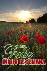 Imagenes De Inicio De Semana Bonitas