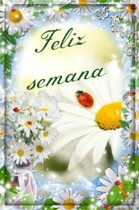 Imagenes De Inicio De Semana Bonitas Para Whatsapp Celular