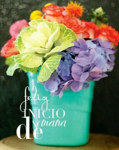 Imagenes De Inicio De Semana Chistosas Para Descargar