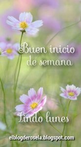 Imágenes de un buen inicio de semana para WhatsApp celular