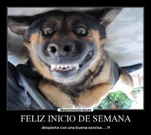 Imagenes Feliz Inicio De Semana Mi Amor Para Whatsapp Celular