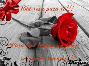 Imagenes Graciosas De Feliz Inicio De Semana