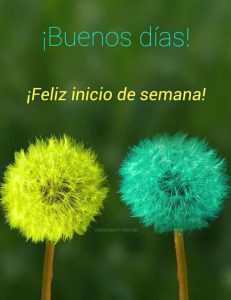 Imagenes Hermosas De Inicio De Semana Para Whatsapp Celular