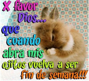 Imagenes Inicio De Semana Cristianas Para Whatsapp Celular