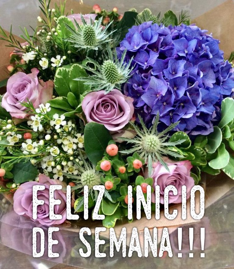 Imagenes Para Buen Inicio De Semana Para Whatsapp Celular