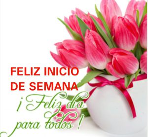 Imagenes Tiernas De Feliz Inicio De Semana