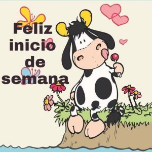Imágenes y frases de inicio de semana para WhatsApp celular