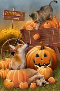 Imágenes de cosas de halloween