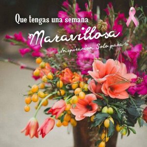 Inicio De Semana Frases Cristianas