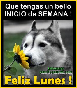 Inicio De Semana Para Whatsapp Celular