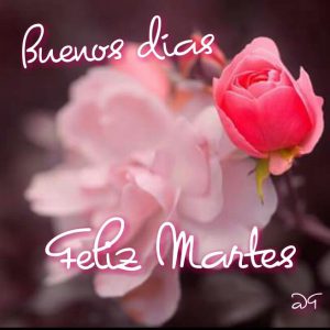Lindo Martes Amor Para Descargar Gratis
