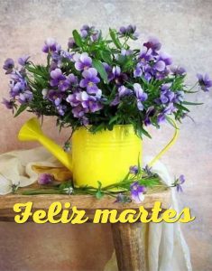 Lindo Martes Amor Para Whatsapp Gratis para celular