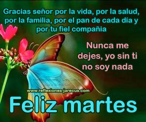 Lindo Martes Con Flores Para Descargar Gratis