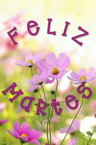 Lindo Martes Con Flores Para Whatsapp Gratis para celular