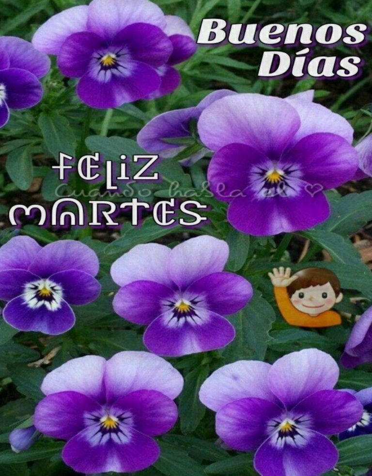 Lindo Martes Con Rosas Para Descargar Gratis