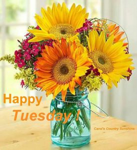 Lindo Martes Cristiano Para Descargar Gratis para celular