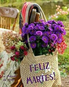 Lindo Martes Mi Amor Para Whatsapp Gratis para celular