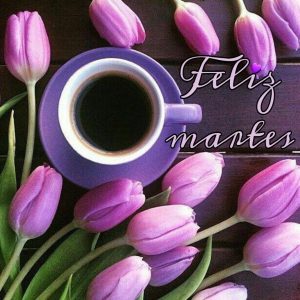 Lindo Martes Para Whatsapp Gratis