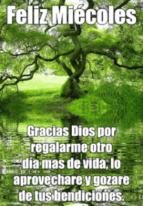 Lindo miércoles para todos para Facebook gratis para celular