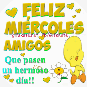 Lindo miércoles para todos para WhatsApp gratis para celular