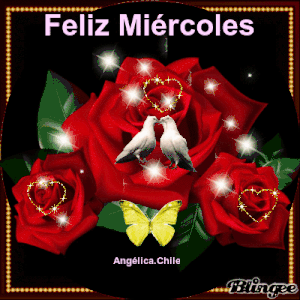 Lindo miércoles para todos para celular