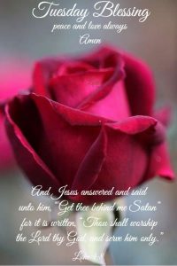 Martes De Bendiciones Para Descargar Gratis para celular