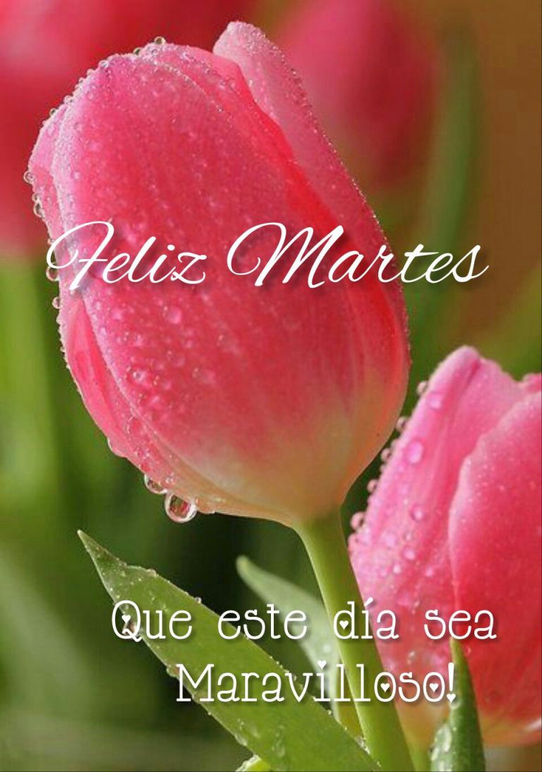Martes De Bendiciones Para Whatsapp Gratis para celular