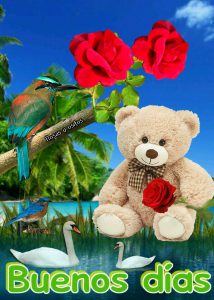 Mensajes De Bendecido Lunes Para Ti para celular