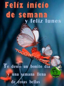 Mensajes De Buenos Dias Lunes Con Cafe