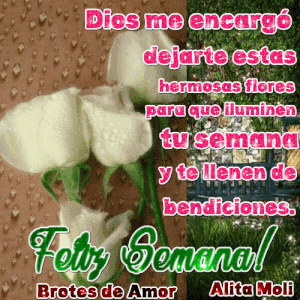 Mensajes de buenos días lunes para WhatsApp gratis