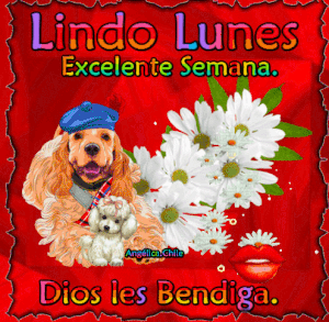 Mensajes de buenos días mi amor feliz lunes para WhatsApp gratis para celular