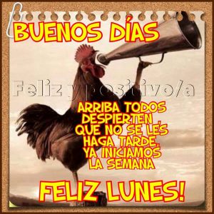 Mensajes De Feliz Inicio De Semana Feliz Lunes