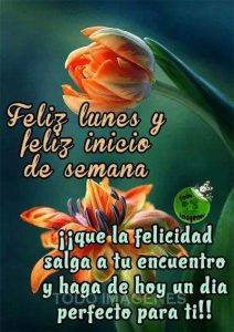 Mensajes de feliz lunes bendecido
