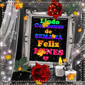 Mensajes de feliz lunes buenas tardes