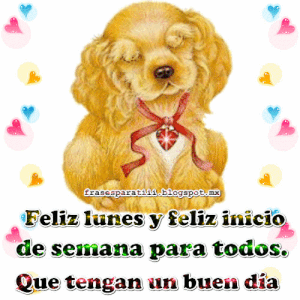 Mensajes de feliz lunes buenas tardes para WhatsApp gratis para celular