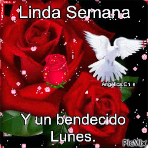 Mensajes de feliz lunes con amor para WhatsApp gratis para celular