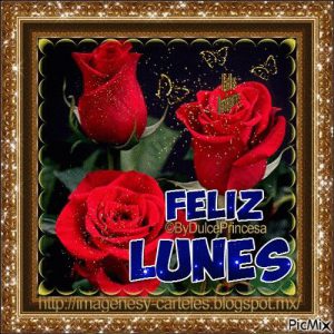 Mensajes De Feliz Lunes Con Flores Hermosas