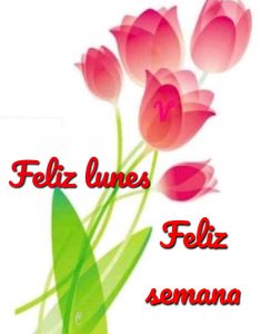 Mensajes De Feliz Lunes Cristiano Para Descargar Gratis