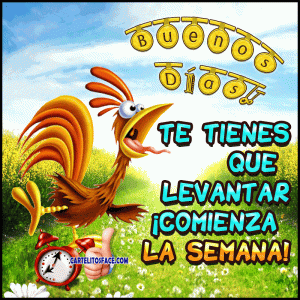 Mensajes de un feliz lunes para celular