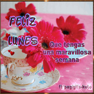 Muy buenos días feliz lunes para descargar gratis