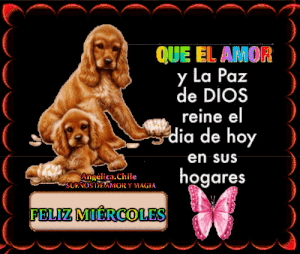 Muy buenos días feliz miércoles para Facebook gratis para celular