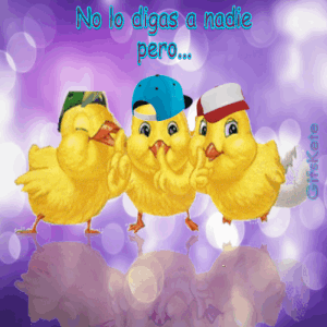 Muy feliz lunes para WhatsApp gratis para celular