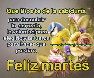 Muy Feliz Martes Para Descargar Gratis