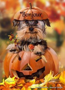 decoracion de uñas de dia de muertos para celular