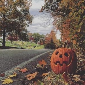 dibujos de murcielagos para colorear e imprimir para celular