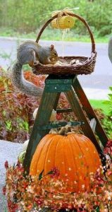 imagenes de halloween con tu nombre para celular