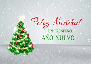 Feliz Navidad y prospero año nuevo